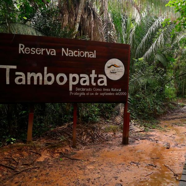 Tours en Tambopata  desde Uruguay