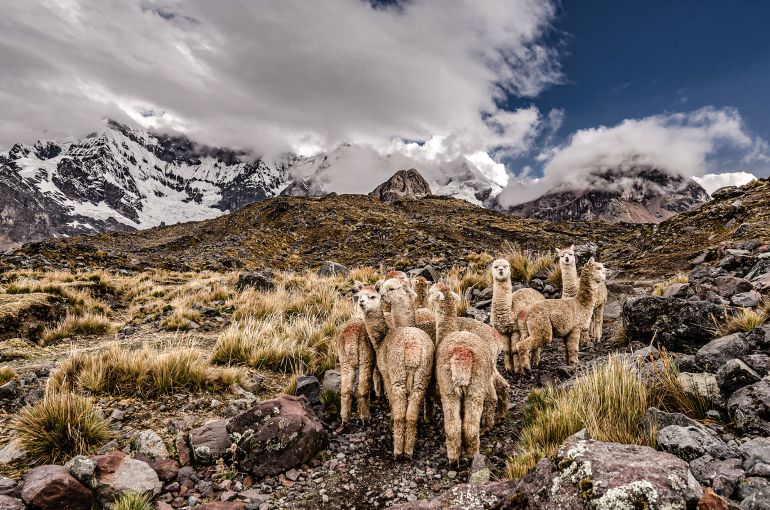 Machu Picchu desde Uruguay
