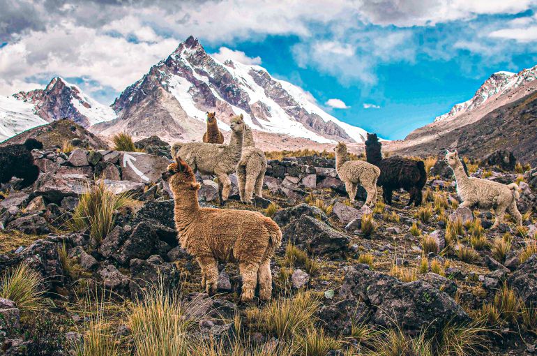 Machu Picchu desde Uruguay
