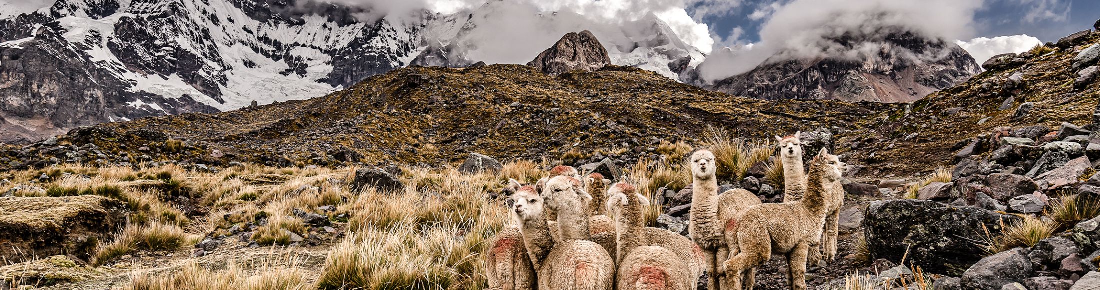 Machu Picchu 8D7N Viajero (Full Aventura Tendencia)  desde Uruguay