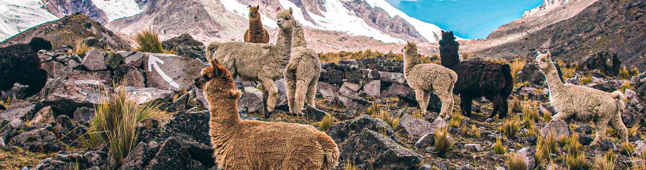 Machu Picchu 4D3N Viajero (Cultural Aventura Tendencia)  desde Uruguay