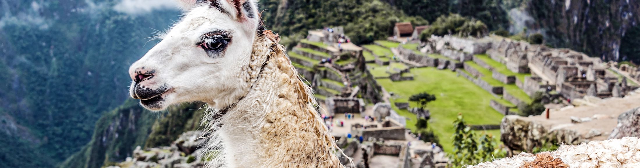Machu Picchu 8D7N Viajero (Full Cultural)  desde Uruguay