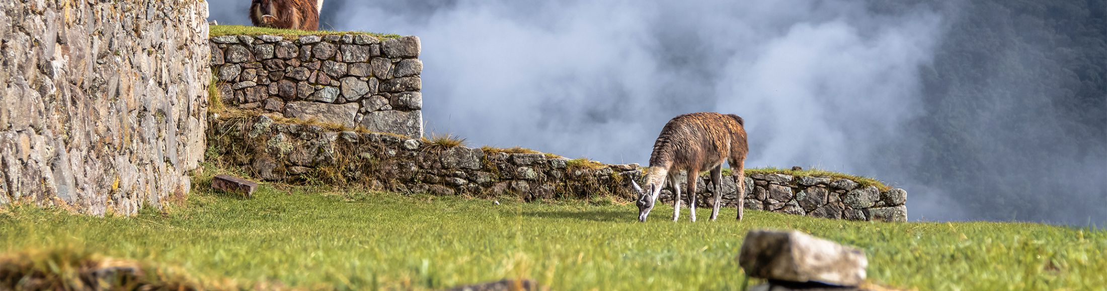 Machu Picchu 4D3N Viajero (Cultural Aventura)  desde Uruguay