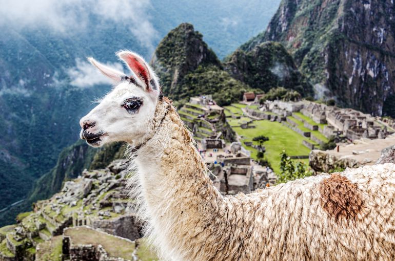 Machu Picchu desde Uruguay