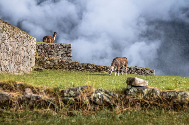 Machu Picchu desde Uruguay